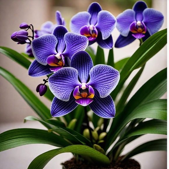 Unlisted inventory - Picture 2 of 2